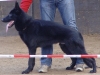 Doran JH dag 190205 A